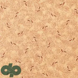 پالازموکت - کات 5711