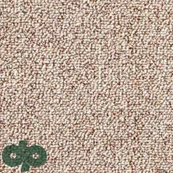 پالازموکت - پونه 5252