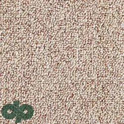 پالازموکت - پونه 5852