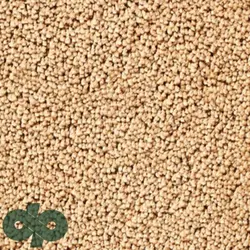 پالازموکت - الماس 5174