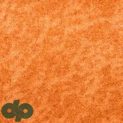 پالازموکت - برکه 5591