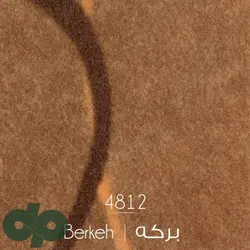 ظریف مصور برکه 4812