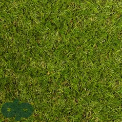 چمن مصنوعی سونار مدل بریز