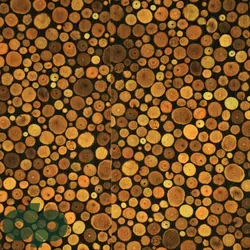 پارکت لمینت واریو وود 7020