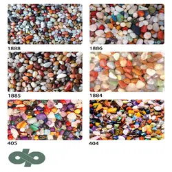 پالازموکت - نخل 5578