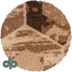 پارکت لمینت AGT ولگا 503