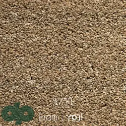 موکت ظریف مصور طرح ارم 5711