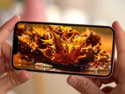 Apple iPhone 13 512 GB - Active | دیجی روز