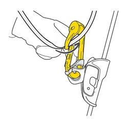کارابین قرقره دار پتزل Rollclip A petzl
