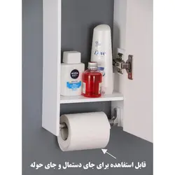 آینه وباکس دلفین مدل 1080-2