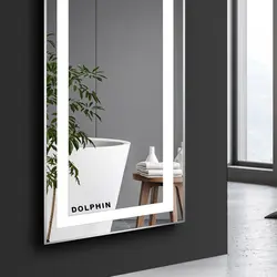 آینه بک لایت دلفین مدل N-T-100-60