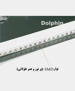 آینه دلفین مدل N-R-7050