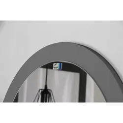 آینه دلفین مدل PQ-60-GR