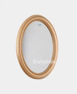 آینه دلفین مدل w801G