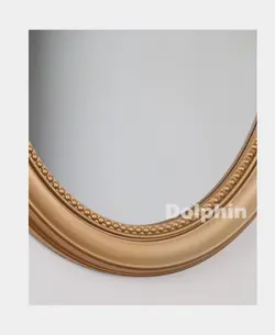 آینه دلفین مدل w801G