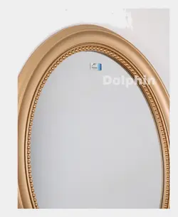 آینه دلفین مدل w801G