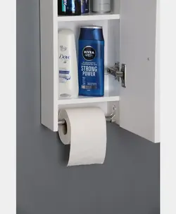 باکس دلفین کد 1010