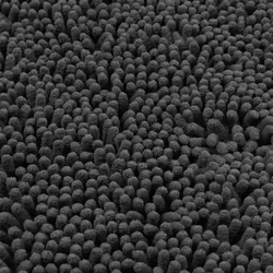 پادری دلفین مدل 805 سایز 80x50 سانتی متر