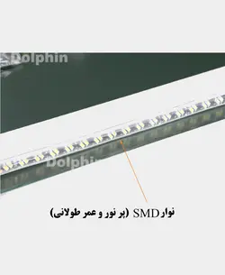 آینه دلفین مدل NQ-60