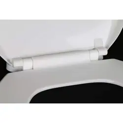 در توالت فرنگی پیسو مدل 11