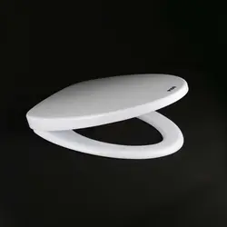 در توالت فرنگی پیسو مدل c15