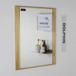 آینه سرویس بهداشتی دلفین مدل Est-6050-SG