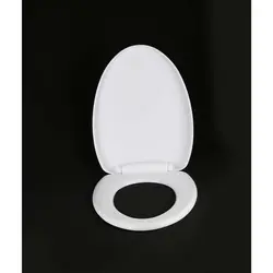 در توالت فرنگی پیسو مدل c15