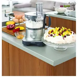 غذاساز کنوود FPM250