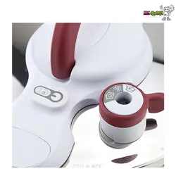 زودپز 6 لیتری تفال CLIPSO MINUT PERFECT