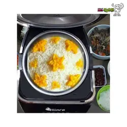 مولتی کوکر هانس HMC 163467
