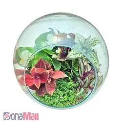 تراریوم خانگی | فروشگاه اینترنتی دونامال