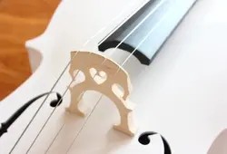 ویولن سل ایستمن 4/4 Eastman VC_205 W