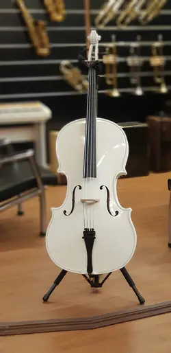 ویولن سل ایستمن 4/4 Eastman VC_205 W