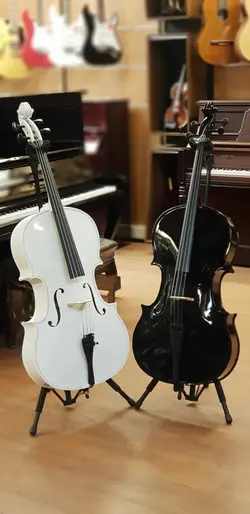 ویولن سل ایستمن 4/4 Eastman VC_205 W