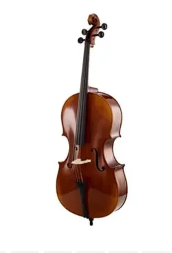 ویولن سل سیسیلیو مدل Cecilio VC_900
