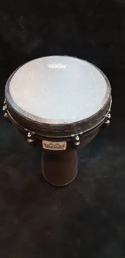 جیمبی رمو REMO سایز 14 طرح اصلی