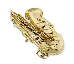 ساکسیفون التو بولرا SAXOPHONE  BOLERA