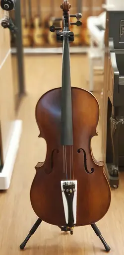 ویولن سل ایستمن  Cello Eastman VC.305 پروفشنال