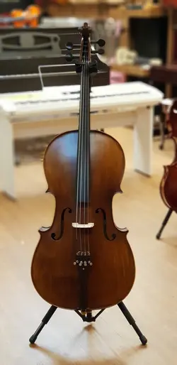 ویولن سل ایستمن  Cello Eastman VC.305 پروفشنال