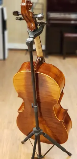 ویولن سل ایستمن  Cello Eastman VC.305 پروفشنال