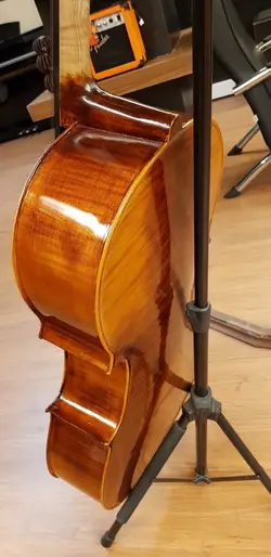 ویولن سل ایستمن  Cello Eastman VC.305 پروفشنال