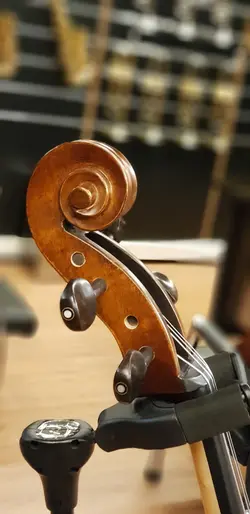 ویولن سل ایستمن  Cello Eastman VC.305 پروفشنال