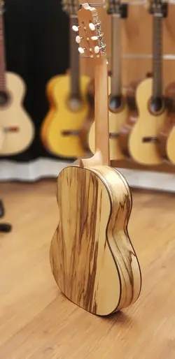 گیتار پارسی parsi P70 کلاسیک