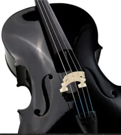 ویولن سل ایستمن Eastman VC.205 B 4/4