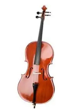 ویولن سل سیسیلیو مدل Cecilio VC_800