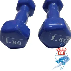 دمبل روکش دار 2عددی 1 کیلویی کد 2094