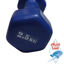 دمبل روکش دار 2عددی 2.5 کیلویی کد 2096