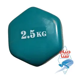 دمبل روکش دار 2عددی 2.5 کیلویی کد 2096