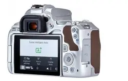 دوربین دیجیتال عکاسی Canon 250D Body