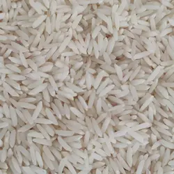 برنج طارم محلی مازندران
